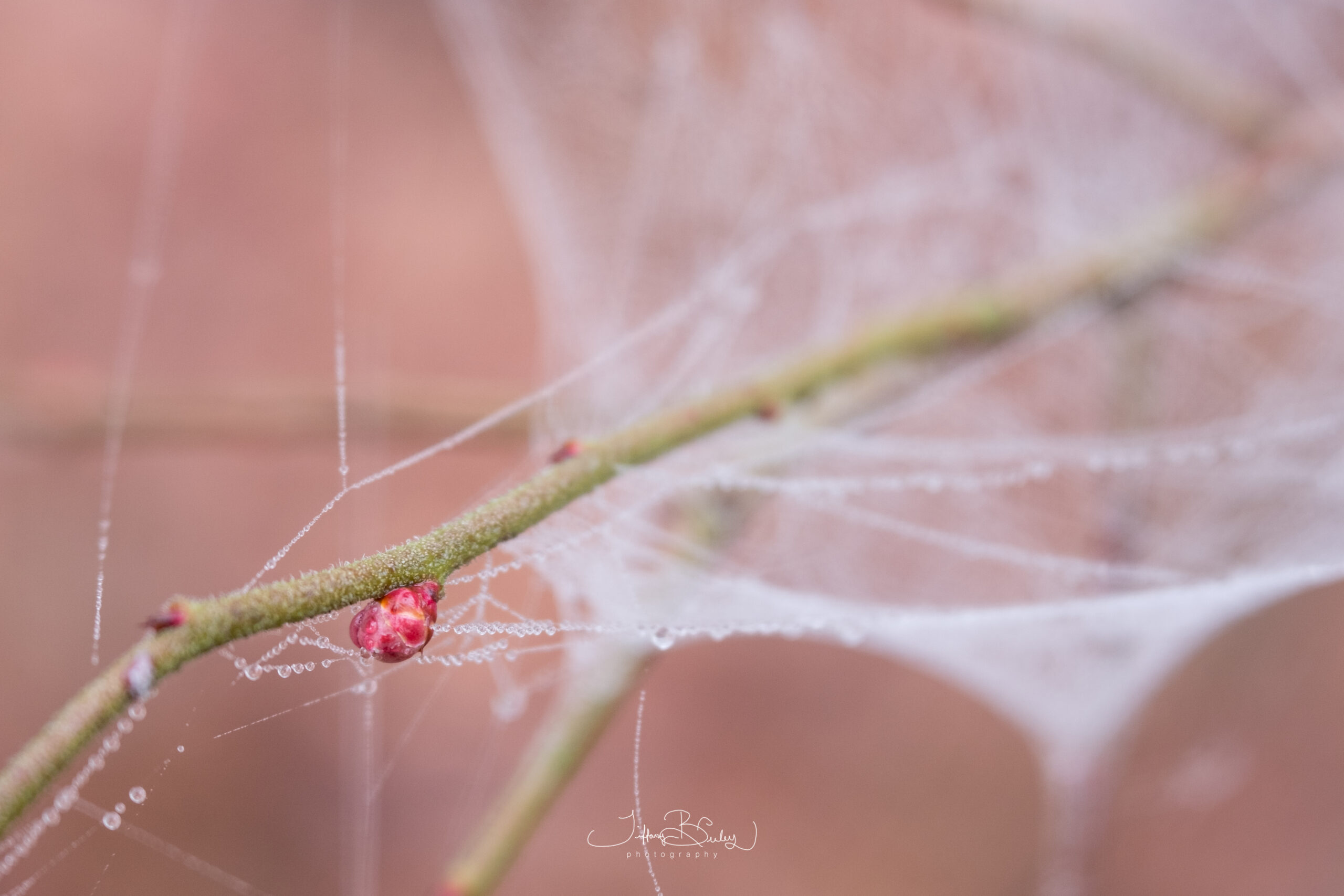 When Creativity Gets Cramped