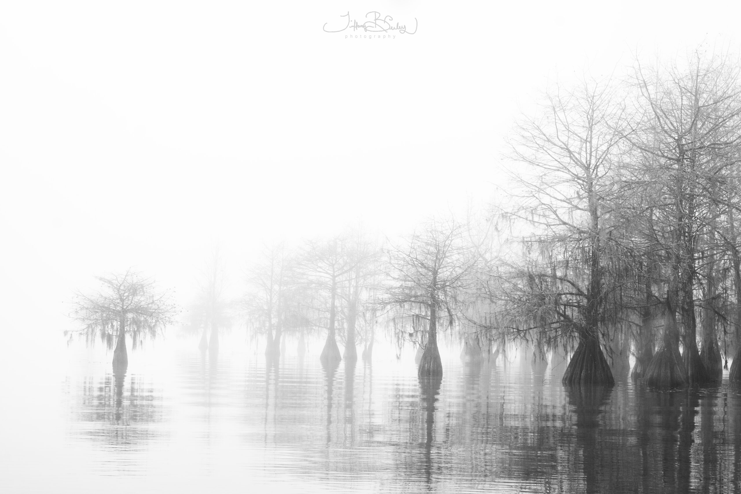 The Tragic Reality Of Today