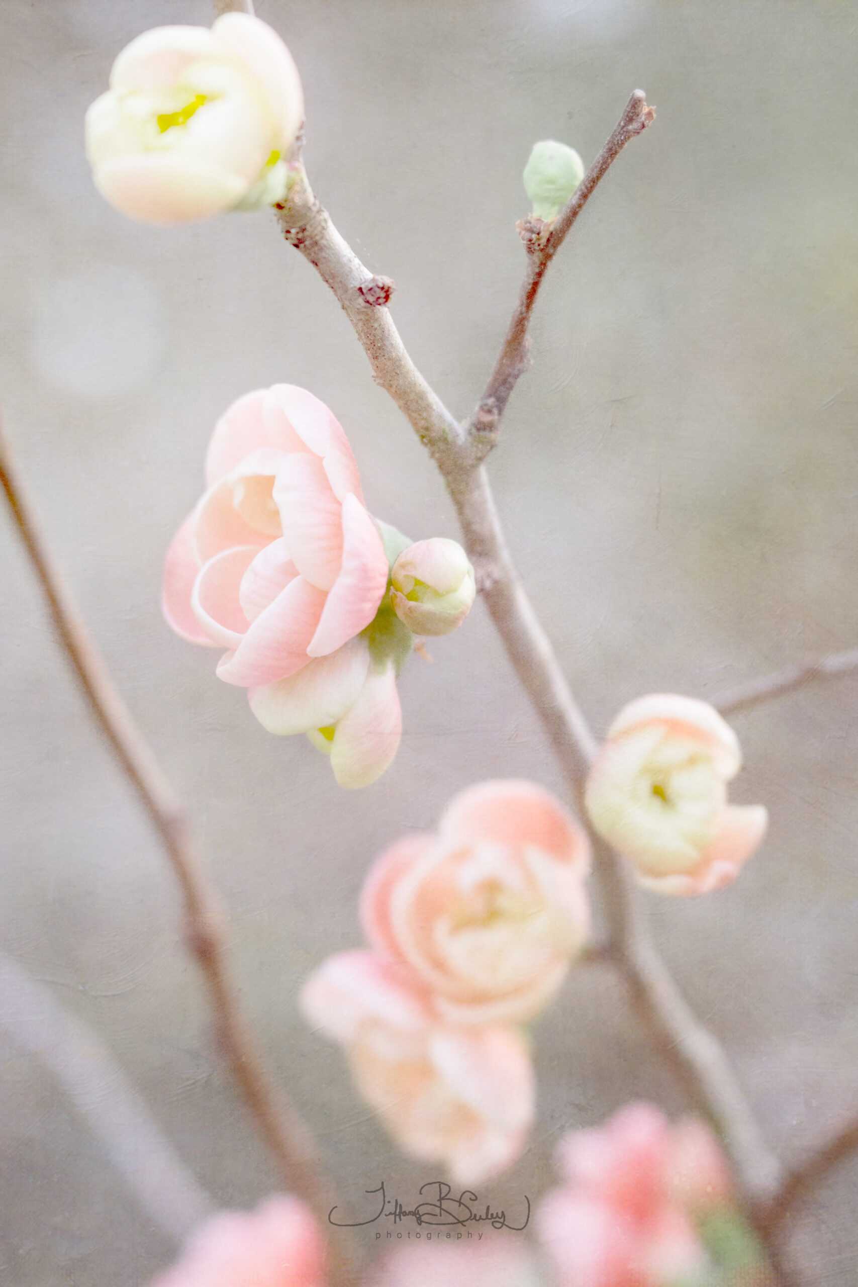 The Birth Of Something New…