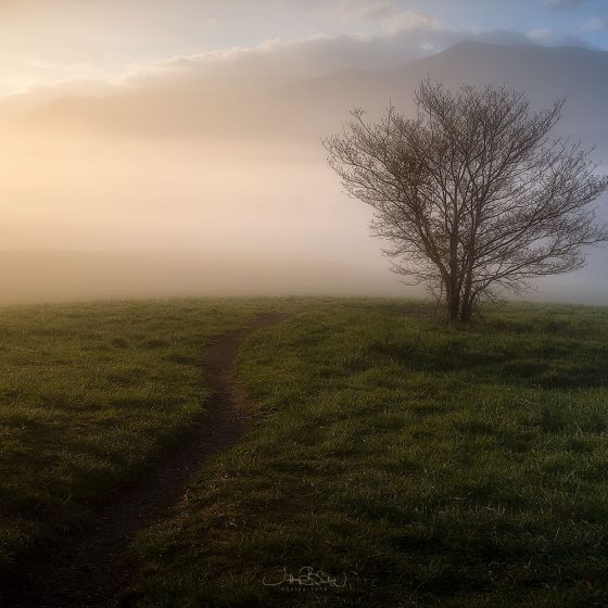 The Courage to Continue: From Doubt to Renewal in Photography