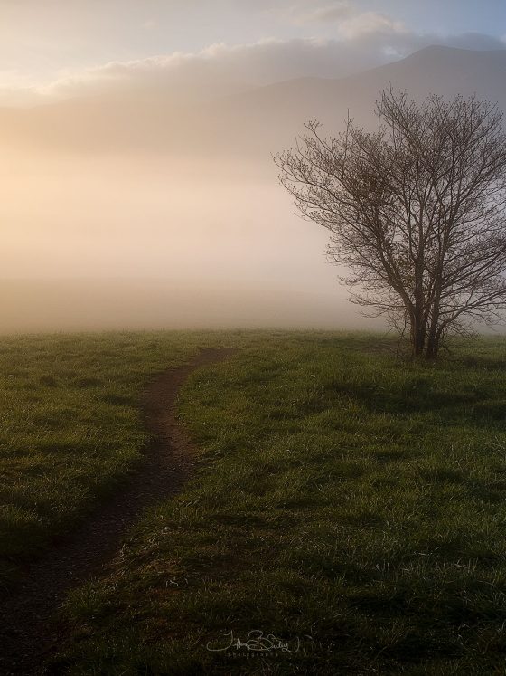 The Courage to Continue: From Doubt to Renewal in Photography