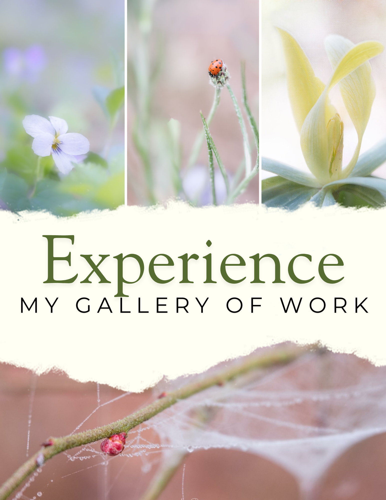 Experience the beauty of what the camera can capture in my collection of work