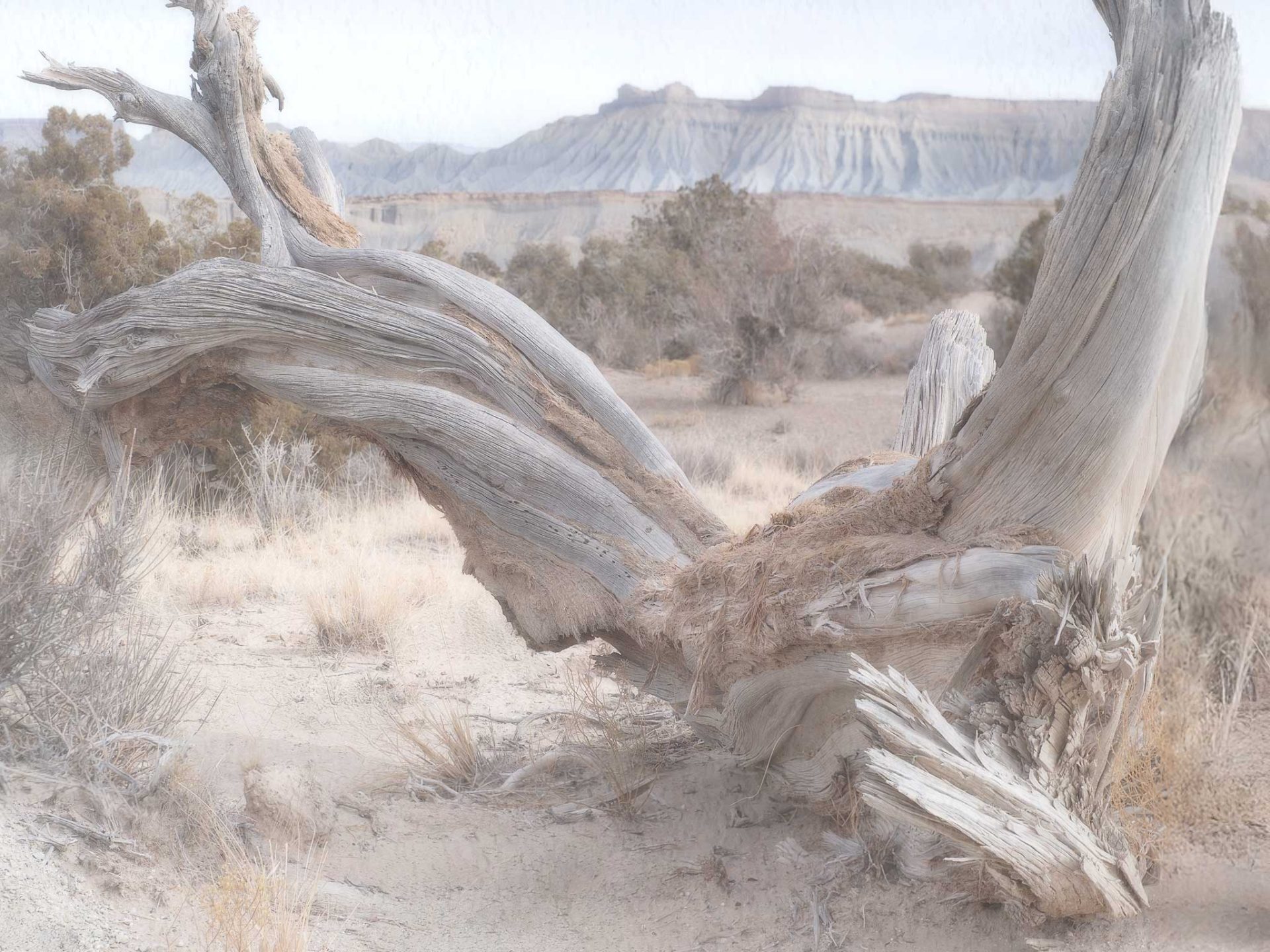 Discovering American Southwest