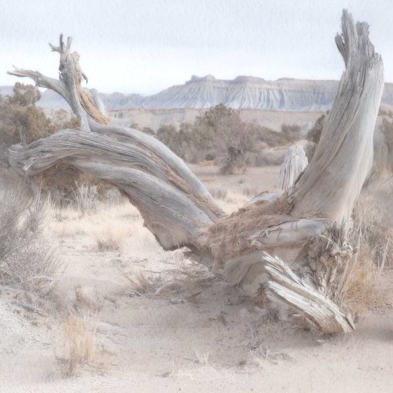 Discovering American Southwest