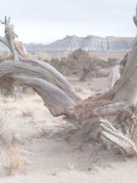 Discovering American Southwest