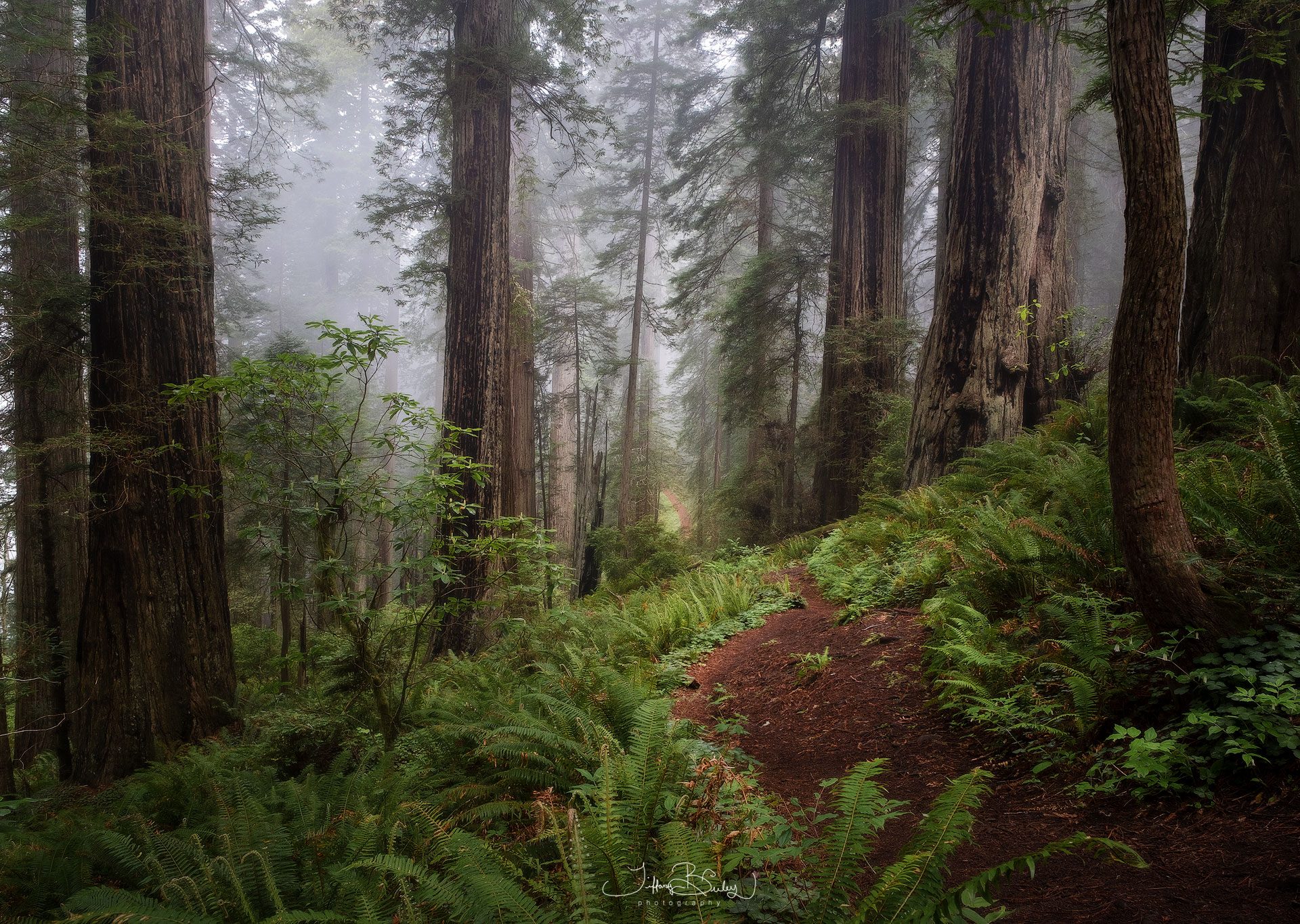 Scouting New Locations: Tools and Tactics