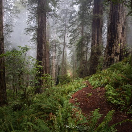 Scouting New Locations: Tools and Tactics