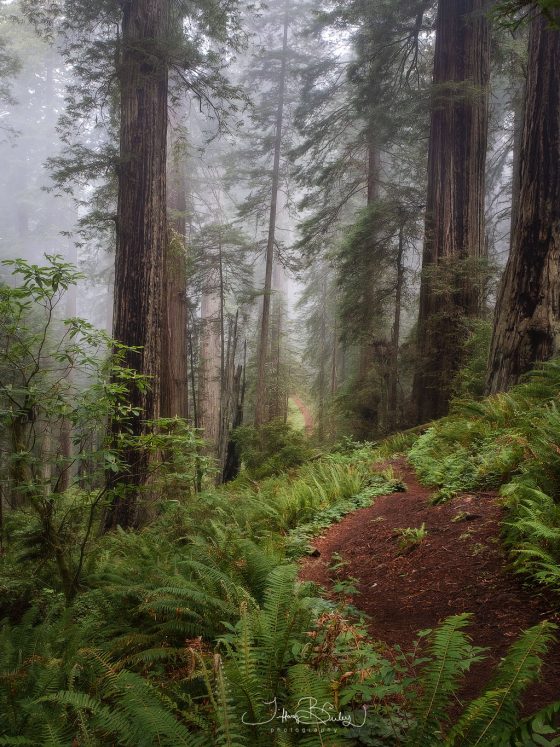 Scouting New Locations: Tools and Tactics