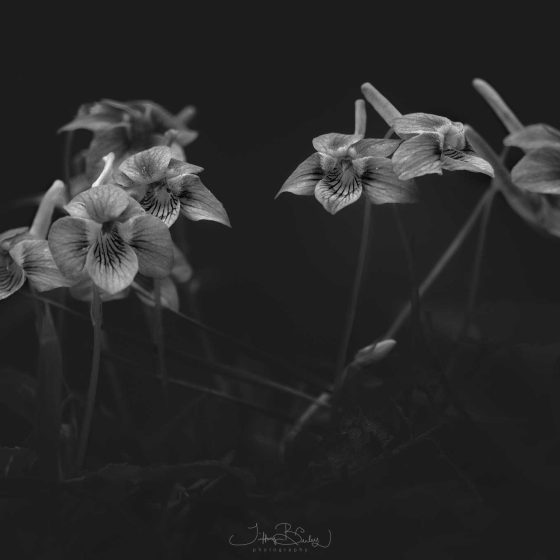 A Letter To The One Grieving