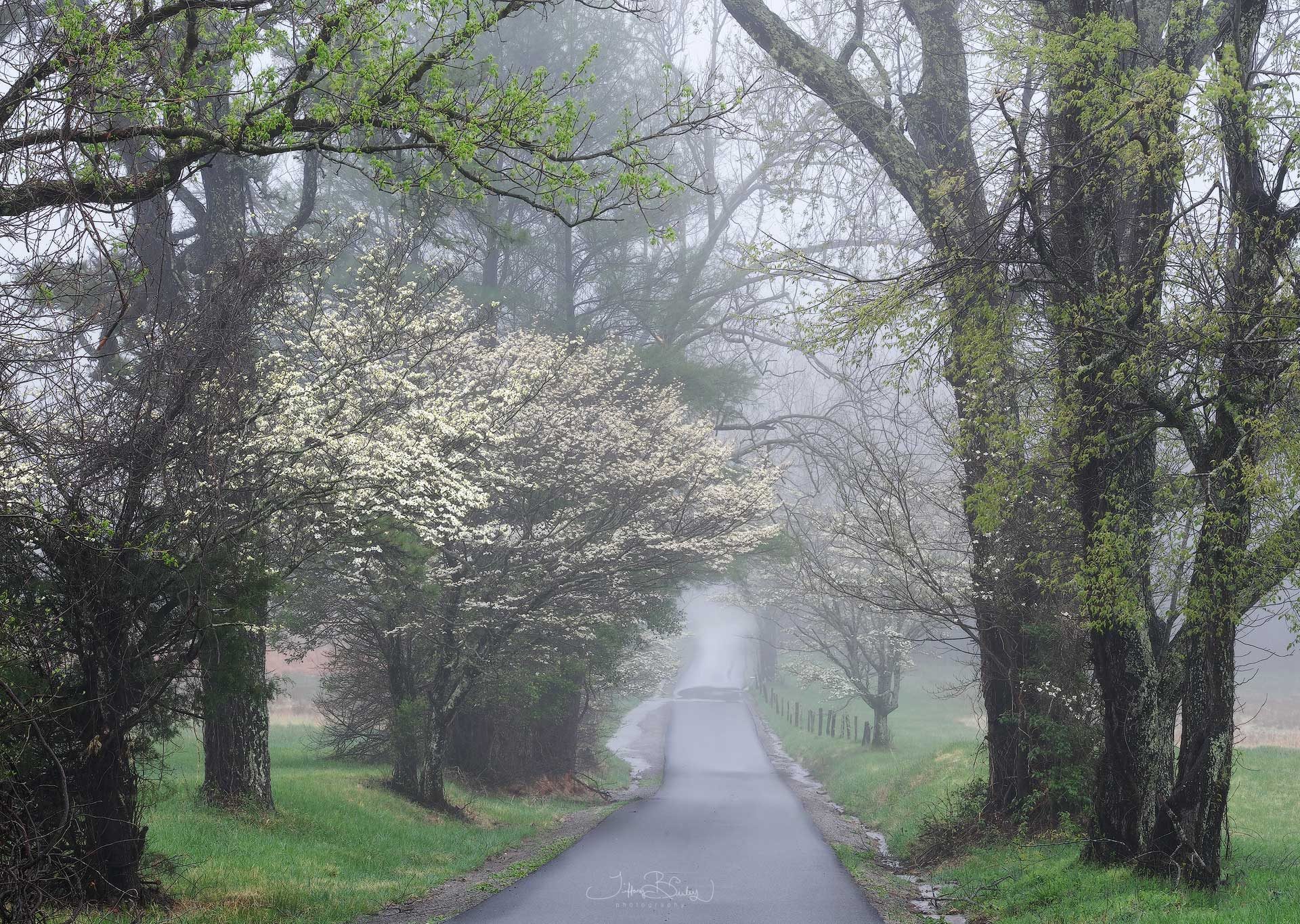 Smoky Mountains Photo Workshop Recap