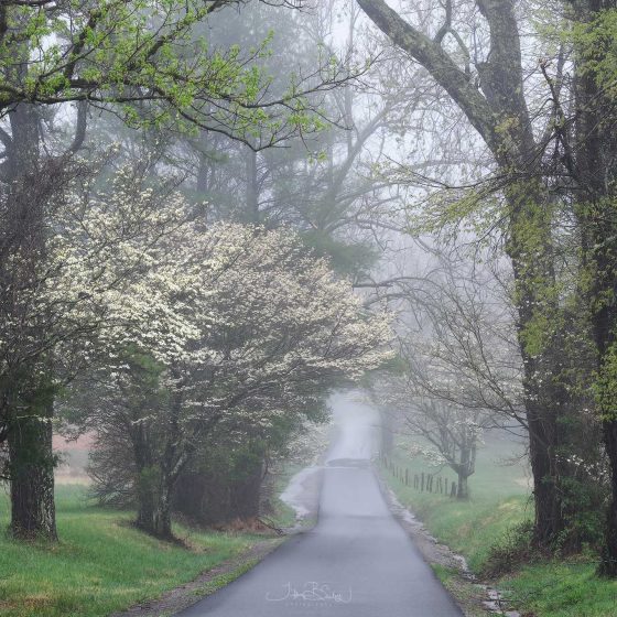 Smoky Mountains Photo Workshop Recap