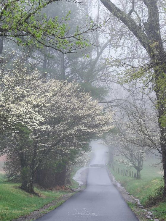 Smoky Mountains Photo Workshop Recap